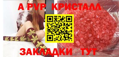 PSILOCYBIN Краснодар